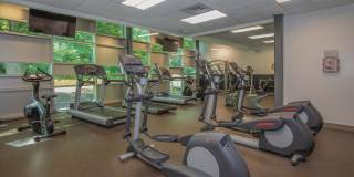 Millennium Apartments Gallery 48