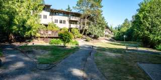 Timberlee Gallery 17