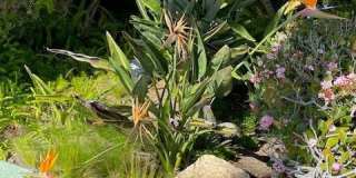 3200 La Rotonda Gallery 39