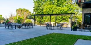 The Morrison Gallery 71