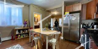 XL Modern & Sunny Apt near T!  Perfect for BU students and working pros alike! Gallery 1