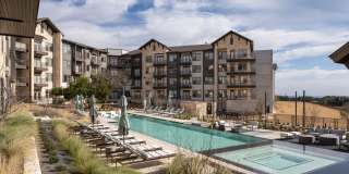 The Markson Gallery 5