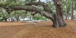 Arbor Trace Gallery 11