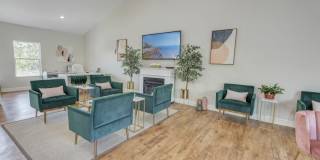 Allandale Falls Gallery 16