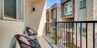 Legacy at Fitz Gallery 46