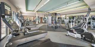 Parc at Princeton Junction Gallery 19