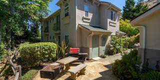Newly renovated downstairs 1 bedroom 1 bath. Gallery 23