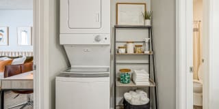 Treehouse Apartments Gallery 16