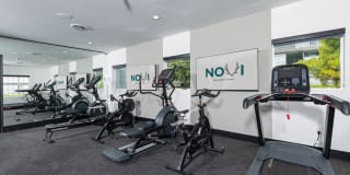 Novi at Lowry Gallery 14