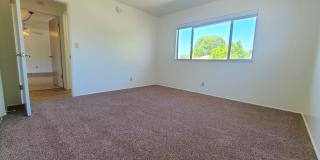 Single-Story 2-Bedroom Home in the Charming Sunparks II 55+ HOA! Gallery 21