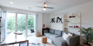 Excelsior Park Gallery 45