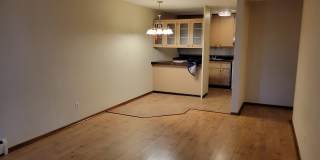 4030 15th Ave S Apt 11C Gallery 12