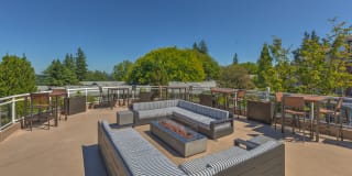 Shorewood Gallery 65