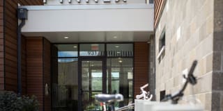 Pinnex Gallery 31