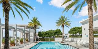 The Henry Gallery 15