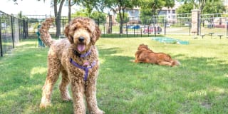 Olympus Stone Glen Gallery 23