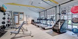 The Marq on Martin Apartments Gallery 7