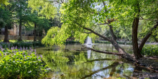 The Boulevard At Town Lake Gallery 17