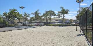 The Palms at Countryside Apartments Gallery 18