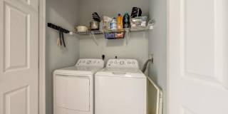 42461 ROCKROSE Square Gallery 19