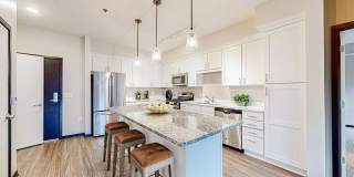 The Shoreham On France Gallery 50