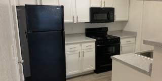 The Timbers at the Park Gallery 6