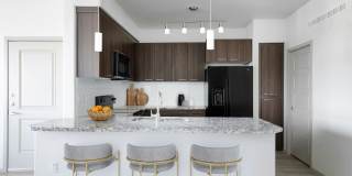 Velaire at Aspera Gallery 20