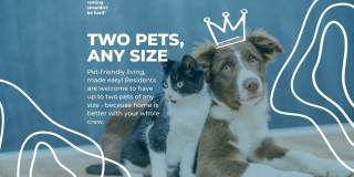 The Dorchester Gallery 21