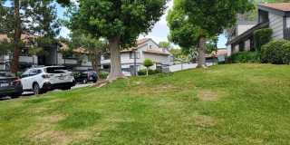Dove Ridge Gallery 7