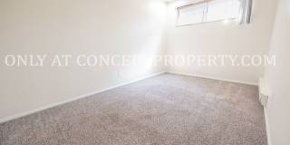 659 East 800 South Gallery 37
