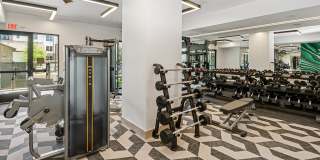 The Waylon Apartments & Townhomes Gallery 32