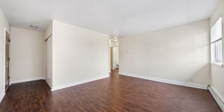 Virginia Arms Gallery 12