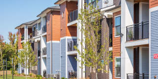 Sonderly at the Concourse Gallery 25