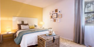 TGM Autumn Woods Gallery 8