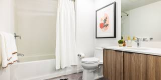 Alice House Gallery 6