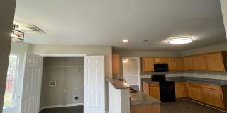 3635 Pauline Ln Gallery 8