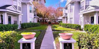 603 S DAKOTA AVENUE Gallery 1