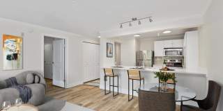 Lakemont Orchard Gallery 39