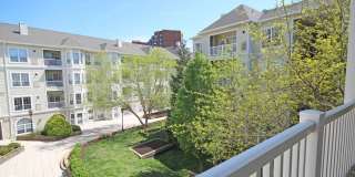 4551 Strutfield Ln Apt 4336 Gallery 1