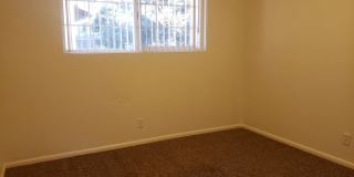 Oakterr Gallery 13