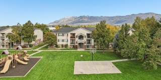 Pinebrook Gallery 50