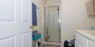 Modern 3-bed 2-bath Packard's Corner Gallery 10