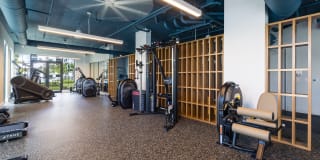 The Bohemian Gallery 24