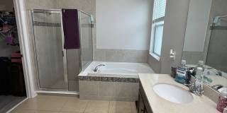 3272 Mangrove Island Drive Gallery 11