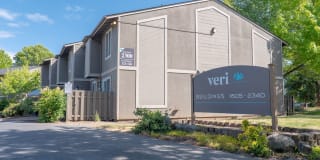 Veri at Timberhill Gallery 24