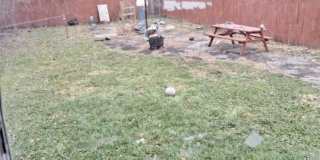 487 Chalmers Gallery 19