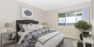 Avenue Apartments Gallery 4