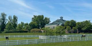 4512 GRAZING Way Gallery 85