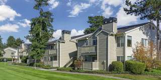 Alderwood Heights Gallery 26