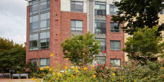 Spacious Two-Bedroom Silver Spring Apartment! Pets Welcomed/Amenities Galore! Gallery 1